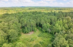 993 Dahlia Road, Gilmer, TX 75644