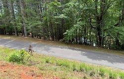 Jonathan Drive lot: 33, Lowgap, NC 27024