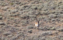 TBD, Big Piney, WY 83113