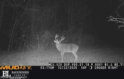 Philips Road, Cruger, MS 38924