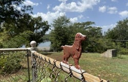 210 Arrowhead Drive, Hot Springs, AR 71913