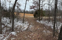2 BCR 924, Patton, MO 63662