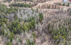 4334 Lehman Road, EdwardsTownship_Ogemaw, MI 48661