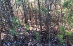 147 Cherokee Ridge Drive, Ocoee, TN 37361