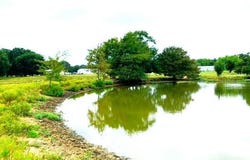 2411 County Road 2411, Honey Grove, TX 75446