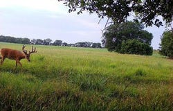 195th Street, Fort Scott, KS 66701