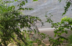 TBD Autrain Forest Lake, Au Train, MI 49806