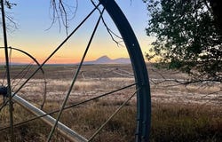 17 Road, Yellow Jacket, CO 81335