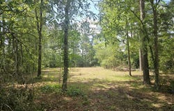220 CR 2736, Alto, TX 75925
