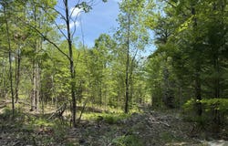 Fosterville Road, Bridgton, ME 04009