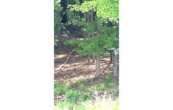 TBD Wetzel / Tyler Ridge, New Martinsville, WV 26155