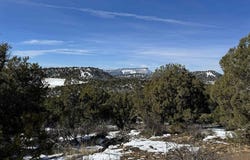 Road 41.4, Mancos, CO 81328