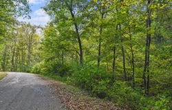 Turtle Creek Road, Florence, IN 47020
