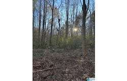 0 MOORE ROAD, ODENVILLE, AL 35120