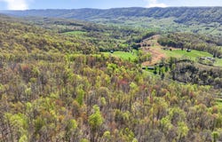 Tba Black Locust Road, Jonesville, VA 24263