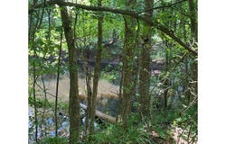 513 Brownlee Road, Sarah, MS 38665