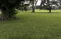 127 Stratton Avenue, Adairville, KY 42202-7833