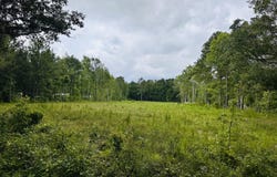 55 Seabrook Center Road, Seabrook, SC 29940