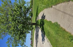 Kaper Drive, Cary, IL 60013
