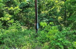 County Road 453, Piedmont, MO 63957