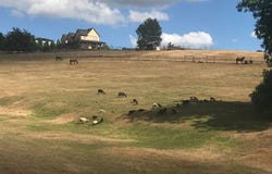 11825 NE FINN HILL LOOP, Carlton, OR 97111