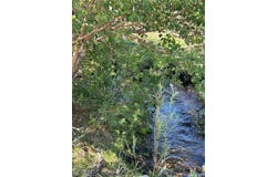 780 DAVIS MEADOW Trail, Dyer, NV 89010