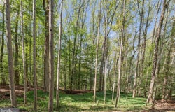 258 JEFFERY Lane, GREAT FALLS, VA 22066