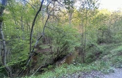 9999 Saddler Road, Manchester, KY 40962