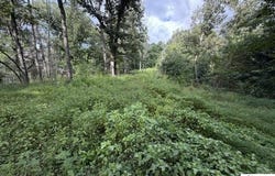 Tract G Sutzer Creek Road, Eastview, KY 42732