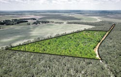 17 Acres Hard Luck Lane, Windsor, SC 29856