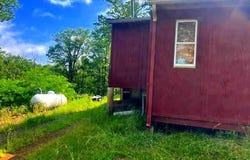 155 BONNEAU LANE, BURLINGTON, WV 26710