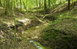 Mulberry Road, Mount Perry, OH 43760