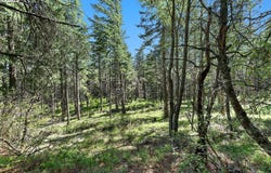 101 COOKE RD, White Salmon, WA 98672