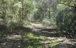 Aplin (32 ac.) Road, Crestview, FL 32539
