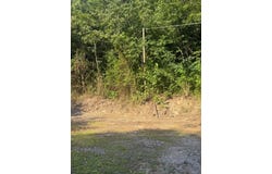 599 Pearl Hill Dr, Delbarton, WV 25670