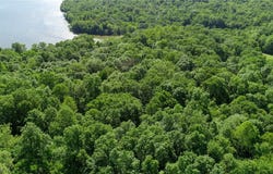0-1 Jim Ball Road, Senecaville, OH 43780