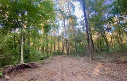 Quinlivan Rd, Magnolia, MS 39652
