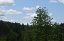 TBD Anthony Drive, Cairo, NY 12058