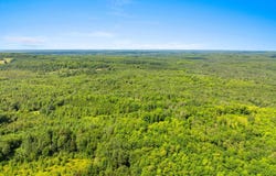 Cty J Road, Irma, WI 54442