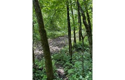 Tbd Quiet Way, Vasa Twp, MN 55089