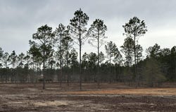 00/Lot 39 Laughlin Loop, Aiken, SC 29805