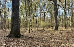 00560 Pocahontas Road, Flora, MS 39071