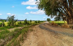 1710 M Road, Fruita, CO 81521