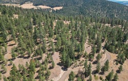 Nka Weaver Way, Deer Park, WA 99006