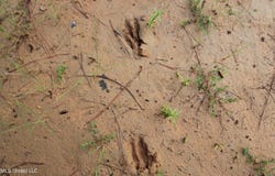 Tom Mans Road, Vaiden, MS 39176