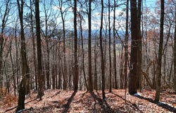 Nebo Mountain Rd. lot: Multiple, Atkins, VA 24311