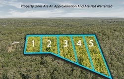 Tract 1 Scenic Highway Lot 2, Mentone, AL 35984