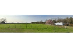 3800 HIGHWAY 99, CENTURY, FL 32535
