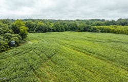 0 Hearn Road, Greenfield, TN 38230