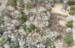 1041 Freedom Rd, Century, FL 32535
